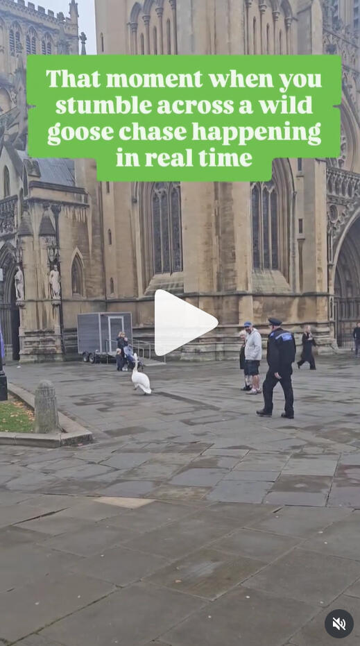 Short humourous reel I made for SNS.