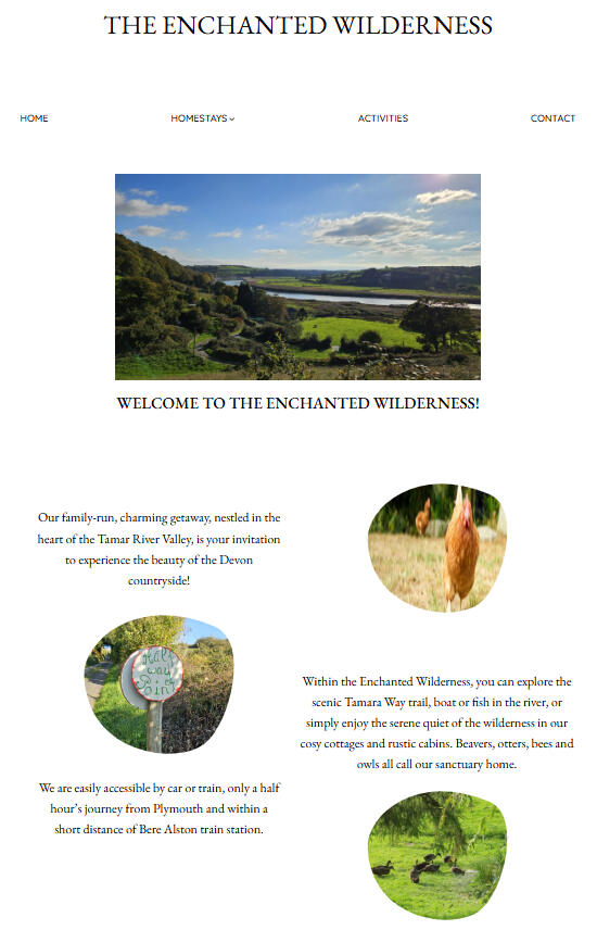 The updated homepage with a new photo and layout by me.